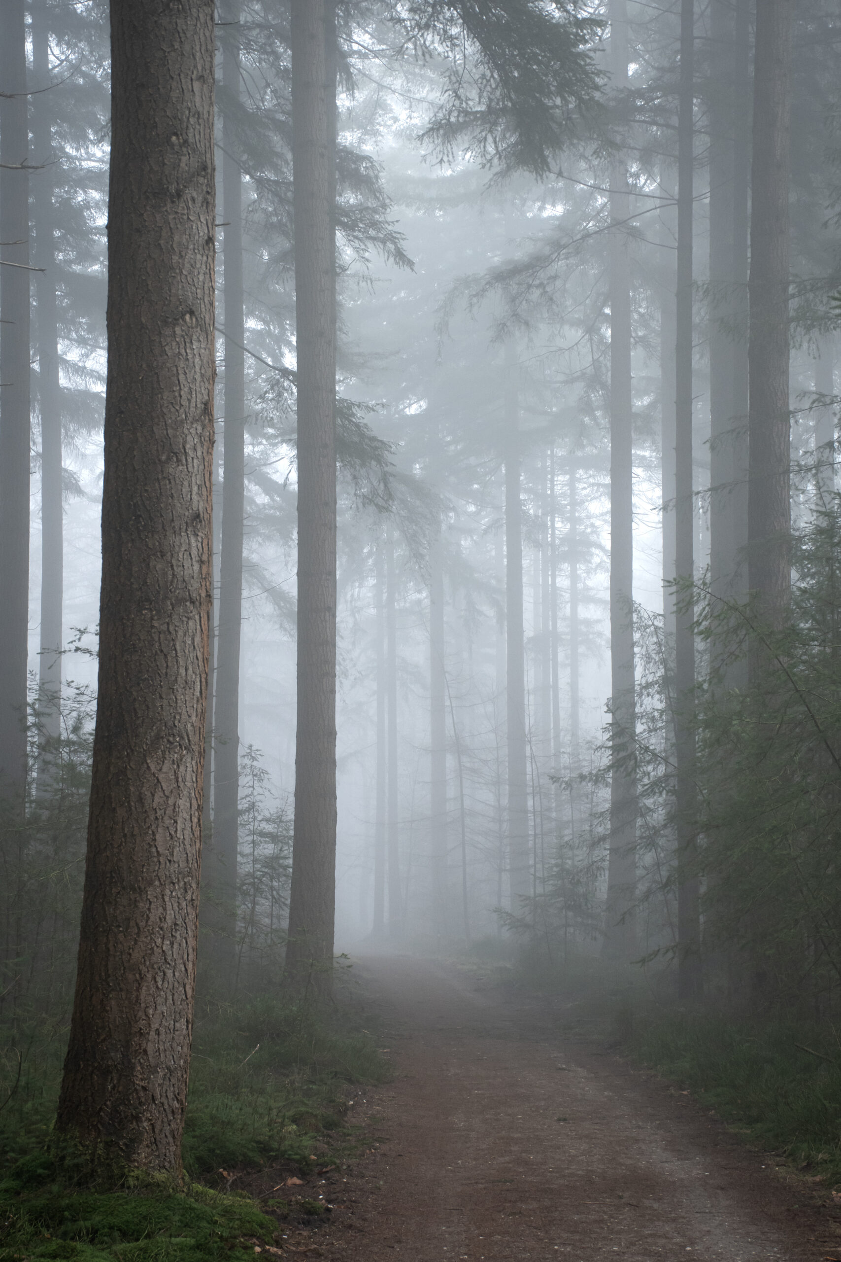 Mist = het mooiste filter dat er is